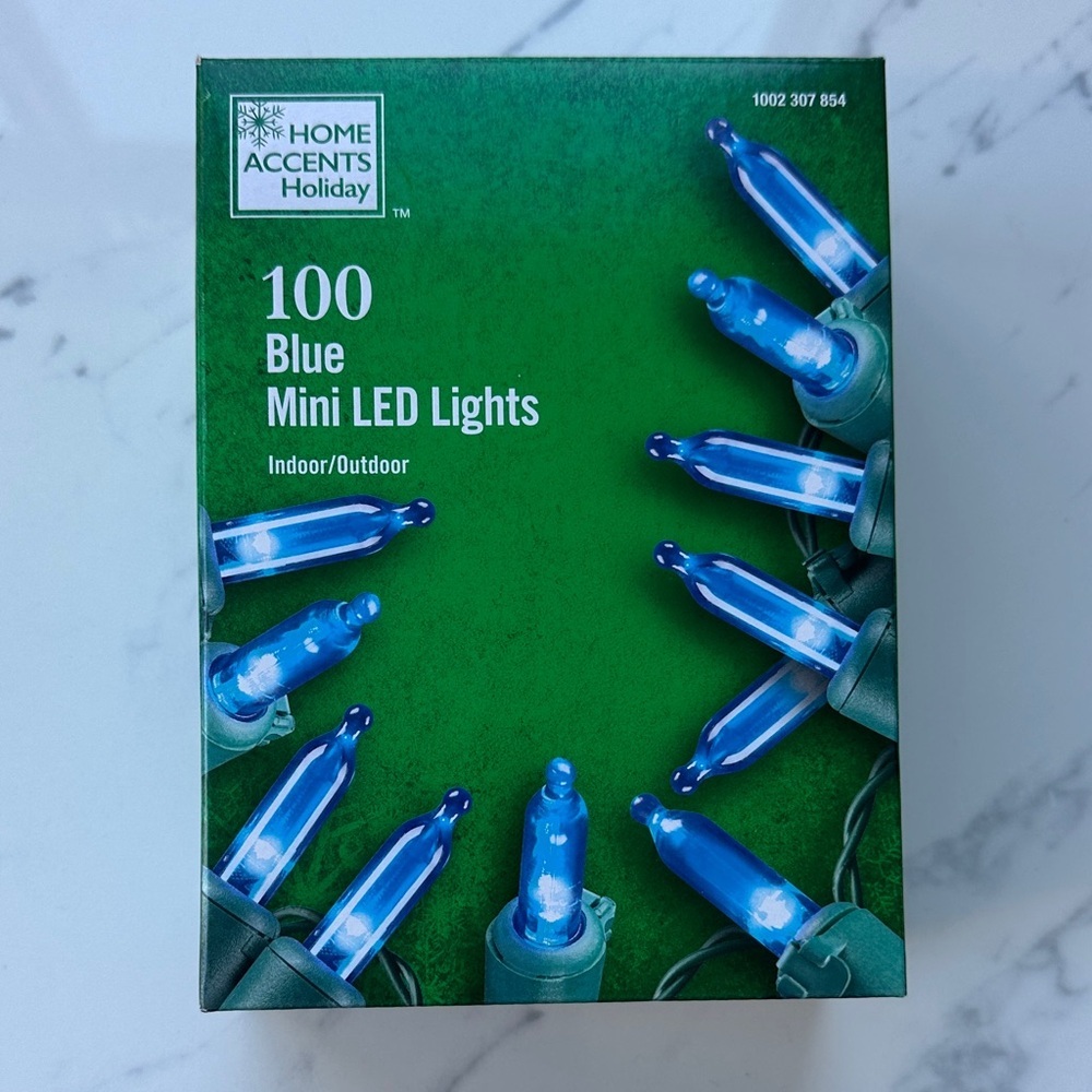 Home Accents Holiday Blue Mini LED Lights Indoor/Outdoor